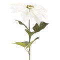 Konstgjord vit julstjärna, stor blommande grendekoration, 65 cm, 2 stycken | Floristik24.se