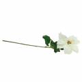 Julstjärna konstgjord blomma vit 67cm | Floristik24.se