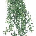 Floristik24 Grön växthängande konstgjord hängväxt med knoppar grön, vit 100cm