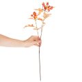 Konstgjord hagtornskvist med blad och bär, 62 cm | Floristik24.se