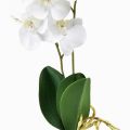 Floristik24 Vit orkidé på Pick Artificiell Phalaenopsis Real Touch 39cm