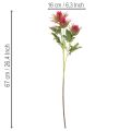 Konstgjord röd tistelgren för dekoration, 67 cm, 3 stycken | Floristik24.se