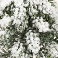 Vinterdekoration Julgran i grönvit Ø7cm H14cm 4st | Floristik24.se