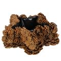 Floristik24 Kotteformad kruka, stjärnformad, 30 cm