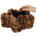 Kotteformad kruka, stjärnformad, 30 cm | Floristik24.se