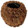 Floristik24 Dekorativ kruka med kottar, naturligt utseende, 27 cm. Rund kruka med tallkottar, naturbrun, tillverkad av tallkottar, 27 cm x 22 cm.