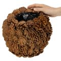 Dekorativ kruka med kottar, naturligt utseende, 27 cm. Rund kruka med tallkottar, naturbrun, tillverkad av tallkottar, 27 cm x 22 cm. | Floristik24.se