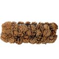 Oval tallkotteplanter, 30 cm