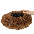 Rund tallkottekruka som planteringslåda, 38 cm; rund tallkottekruka, naturbrun, tillverkad av tallkottar, 38 cm x 14 cm | Floristik24.se