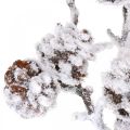 Floristik24 Julgren dekorativ grenkon gren snötäckt 72cm