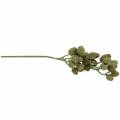 Floristik24 Cone Branch Green 33cm Konstgjord växt som den äkta varan!