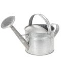 Floristik24 Vintage vattenkanna i zink, 27 cm - planteringskärl för trädgård och uteplats, metallblomkruka