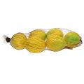 Floristik24 Dekorativa citroner 10 cm 6st