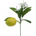 Floristik24 Deco gren citron och blommor konstgjord gren sommardekoration 26cm 4st