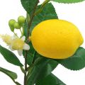 Floristik24 Deco gren citron konstgjord citron gren 42cm 3st