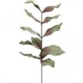Floristik24 Konstgjord växtdeco-gren grön rödbrunt skum H68cm