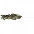 Floristik24 Konstgjord växtdeco-gren grön rödbrunt skum H68cm