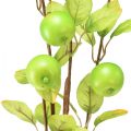 Floristik24 Konstgjord dekorativ äppelgren grön 80cm