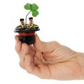 Lyckobringare klöver och skalbagge i hög hatt, 7 cm, 3 stycken | Floristik24.se