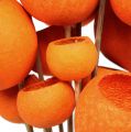 Floristik24 Bell Cup Mix på pinne Orange 15st
