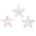 Floristik24 Björkstjärnor mini 2cm - 2,5cm vitkalkade 150 st