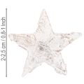 Björkstjärnor mini 2cm - 2,5cm vitkalkade 150 st | Floristik24.se