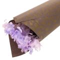 Blommigt siden leopardmönster brunt våtstyrka 50x75cm 20st | Floristik24.se