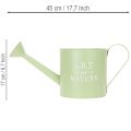 Blomkruka, dekorativ vattenkanna, mintgrön zinkplanter, Ø16,5 cm | Floristik24.se