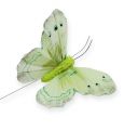 Floristik24 Dekorativ fjäril på trådgrön 8cm 12st
