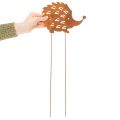 Trädgårdspåke igelkott rost patina dekorativ trädgårdspåke 20cm | Floristik24.se