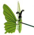 Floristik24 Fjäril på pinnen 17cm grön