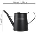 Snygg liten dekorativ vattenkanna, svart metall, 30x13x17cm, 1,7l, kruka, lägenhets-/balkongdekoration | Floristik24.se