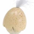 Floristik24 Kyckling i äggskalet vitt, grädde 6cm 6st