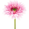 Floristik24 Konstgjorda Gerberablommor, Rosa, 47 cm, 6 st