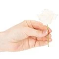 Konstgjord ros, krämfärgad, 10 cm blomma på stjälk, 100 stycken | Floristik24.se