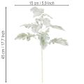 Konstgjord Senecio-gren (ambrosia), intrikat tillverkad, 45 cm, 3 stycken | Floristik24.se