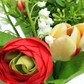 Floristik24 Ranunculus bukett Tulip bukett röd