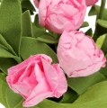 Floristik24 Bordsdekoration mini rosor i rosa 16cm